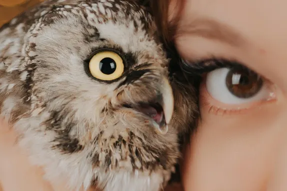 Paradise Kaszinó Támogatás